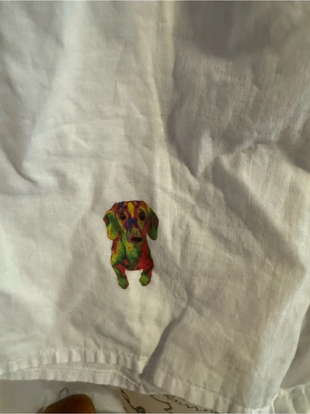 Dachshund boxers men or woman